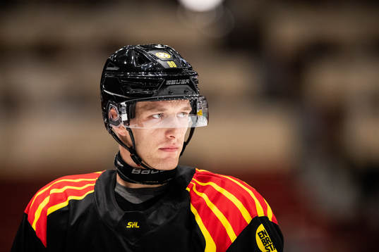 Brynäs David Sklenicka