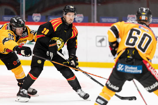 Brynäs Oula Palve