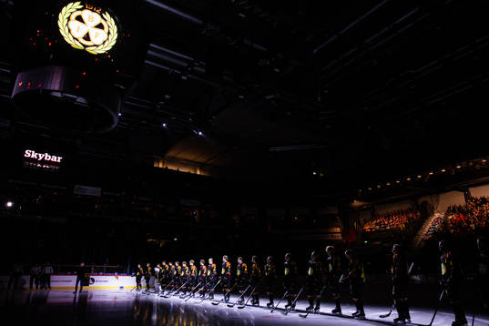 Brynäs spelare