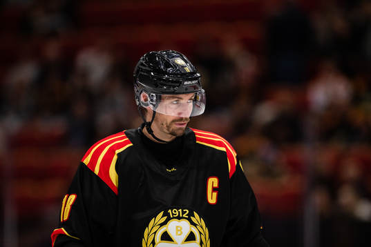 Brynäs Anton Rödin
