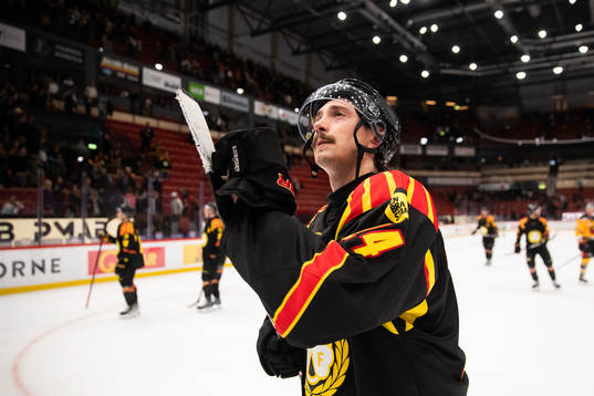 Brynäs Hannes Björninen