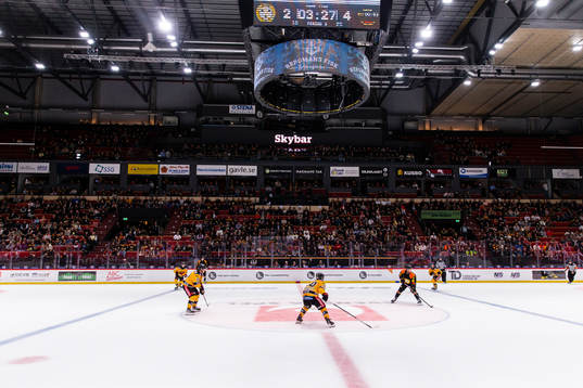 Monitor ERP Arena