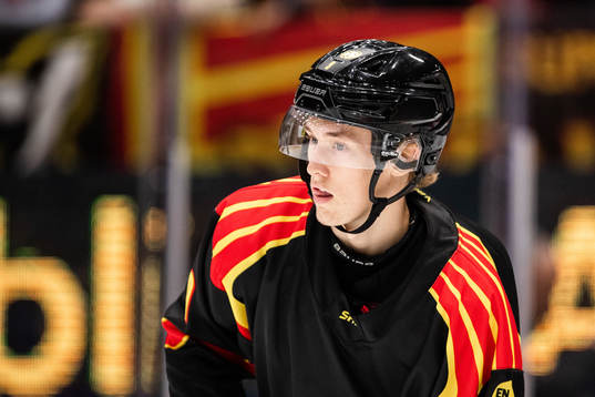 Brynäs William Strömgren