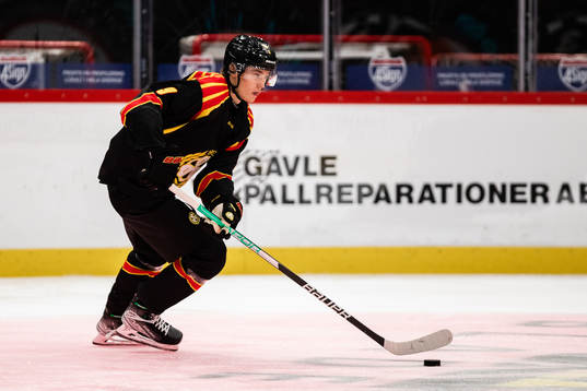 Brynäs William Strömgren