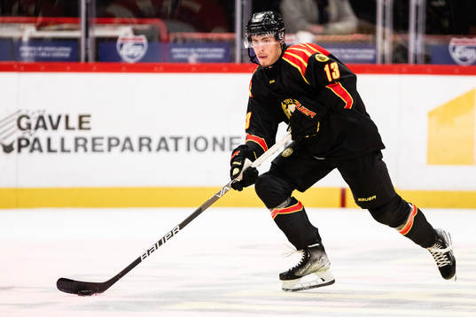 Brynäs Samuel Johannesson