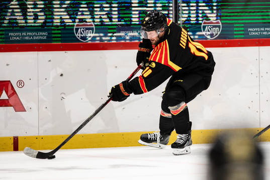 Brynäs Johan Larsson