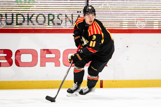Brynäs Dmytro Timashov