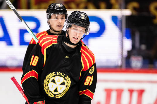 Brynäs David Sklenicka