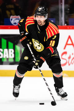 Brynäs Anton Rödin