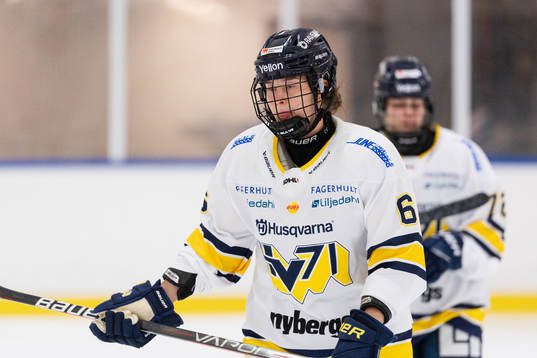 HV71s Charlotte Wittich