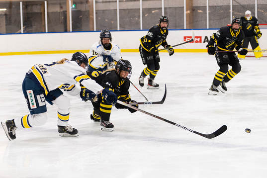 HV71s Mira Markström och AIKs Alva Hellqvist
