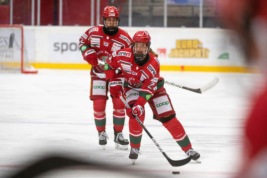 Modos Ebba Hedqvist