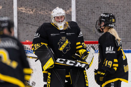 AIKs målvakt Ellen Jonsson