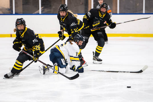 AIKs Alva Hellqvist och Agata Sarnovska och HV71s Kajsa