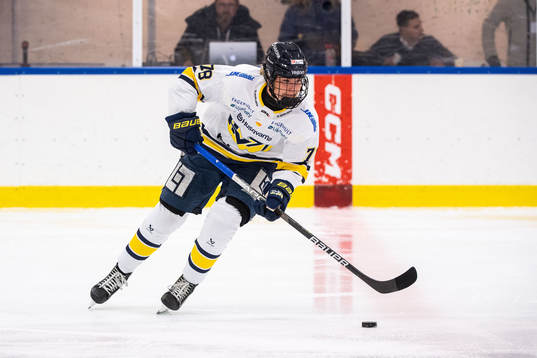 HV71s Elin Svensson