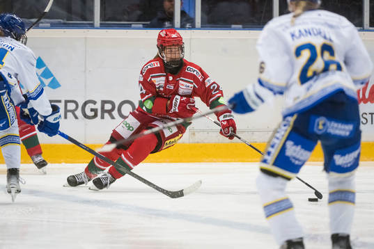 Modos Ebba Hedqvist