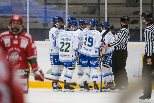 Leksands spelare jublar