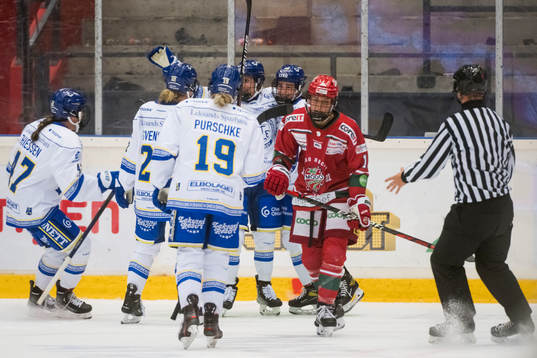 Leksands spelare jublar