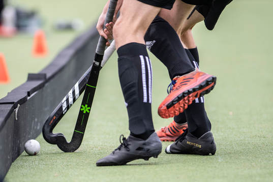 spelare i Valhalla LHC och Roslagens IF