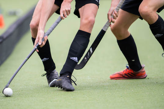 spelare i Valhalla LHC och Roslagens IF
