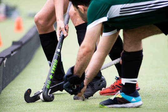 spelare i Valhalla LHC och Roslagens IF