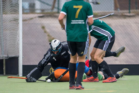 spelare i Valhalla LHC och Roslagens IF