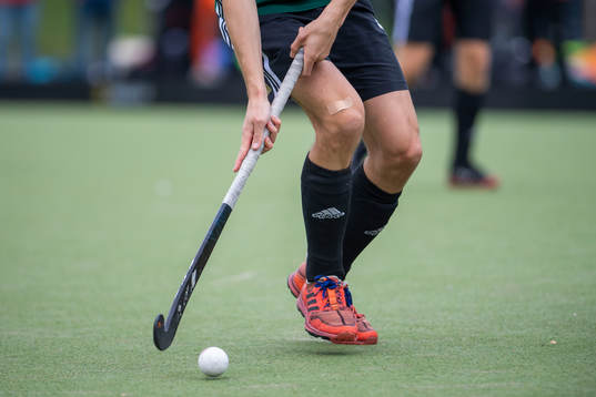 spelare i Valhalla LHC och Roslagens IF