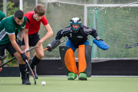 spelare i Valhalla LHC och Roslagens IF