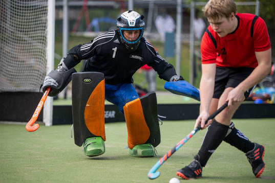 spelare i Valhalla LHC och Roslagens IF
