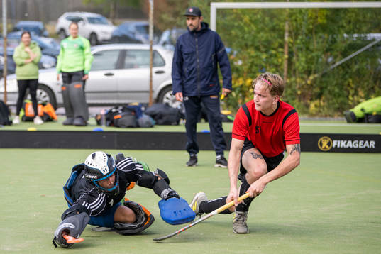 spelare i Valhalla LHC och Roslagens IF
