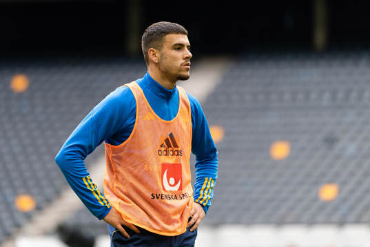 Edvin Kurtulus