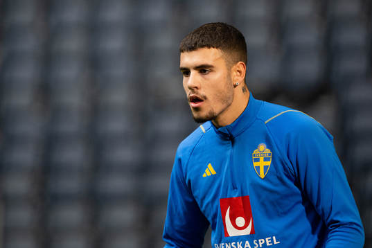Edvin Kurtulus