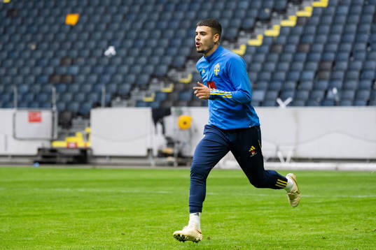 Edvin Kurtulus