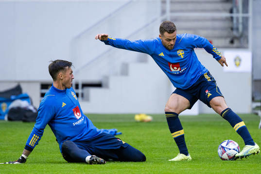 Goalkeeper Andreas Linde and Gabriel Gudmundsson