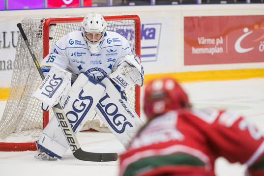 Leksands målvakt Emma Polusny