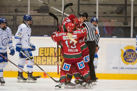 Modos spelare jublar