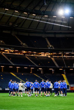 Players of Sweden