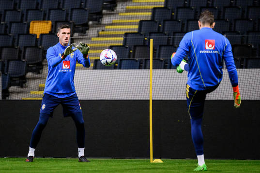 goalkeeper Andreas Linde