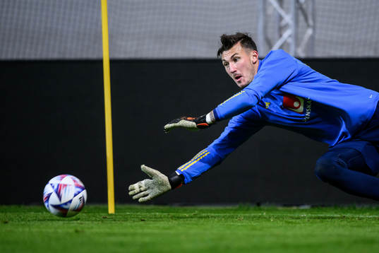 goalkeeper Andreas Linde