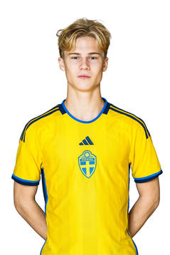 Theo Bergvall