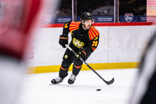 Brynäs Oula Palve