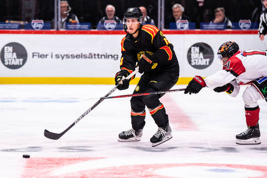 Brynäs Samuel Johannesson och Örebros William Wikman