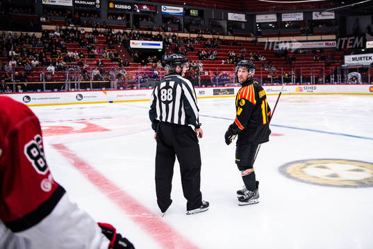 Brynäs Johan Larsson reagerar på domslut