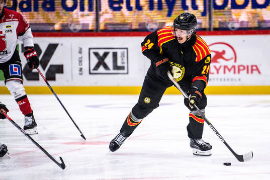 Brynäs Hannes Björninen