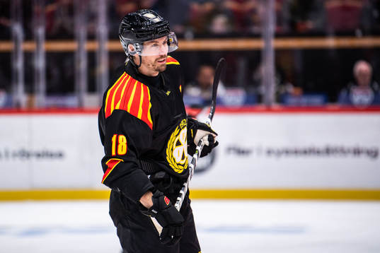 Brynäs Anton Rödin