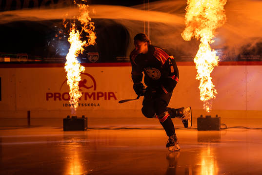 Brynäs William Strömgren