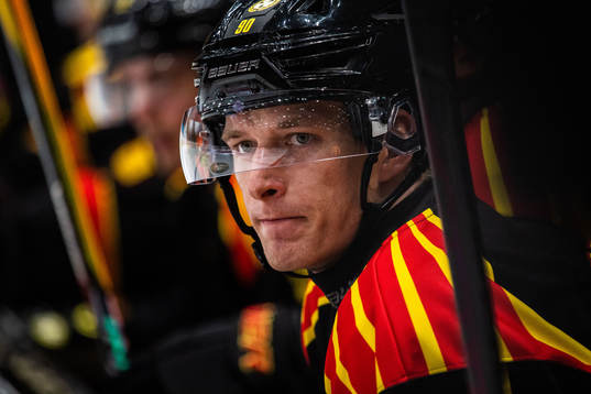 Brynäs David Sklenicka