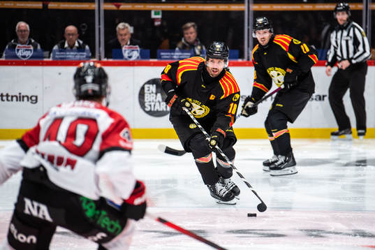 Brynäs Anton Rödin