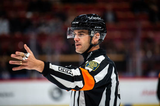 Domare Richard Magnusson