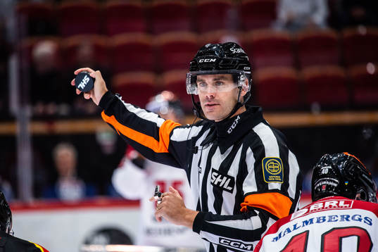Domare Richard Magnusson